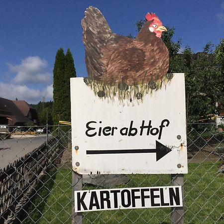 "Zur Alten Schmiede", 70M2 Studio Mit Kaminfeuer Und Sauna Fraubrunnen Exterior foto